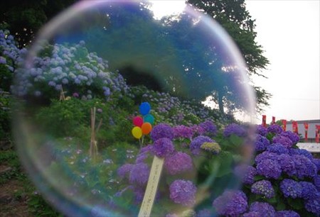 IMGP1278_0614