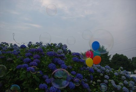 IMGP1370_0614