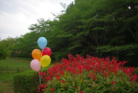 IMGP1424_0615