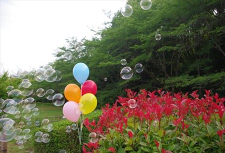 IMGP1428_0615
