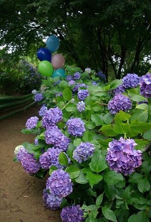 IMGP0004_0622