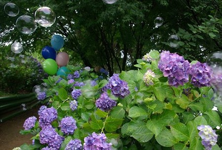 IMGP0021_0622