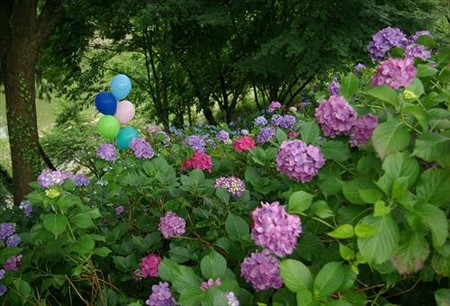IMGP0127_0622