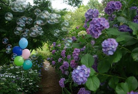 IMGP0159_0622