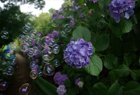 IMGP0178_0622