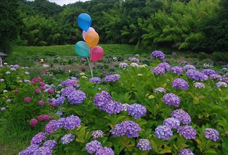 IMGP1644_0628