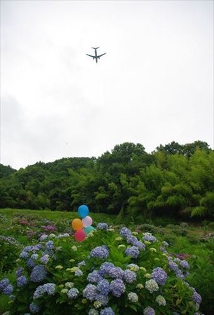 IMGP1915_0628