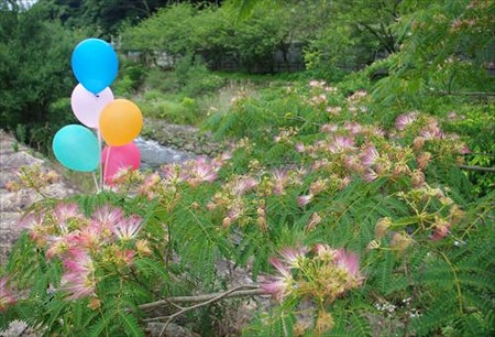 IMGP2004_0628