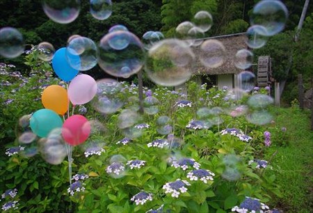 IMGP2117_0628