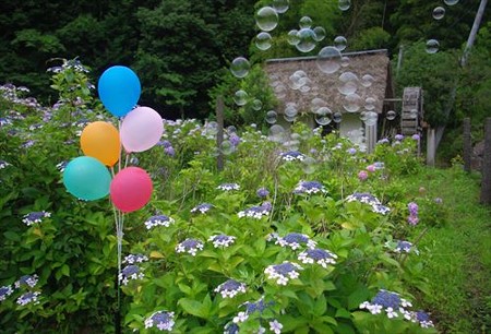 IMGP2129_0628