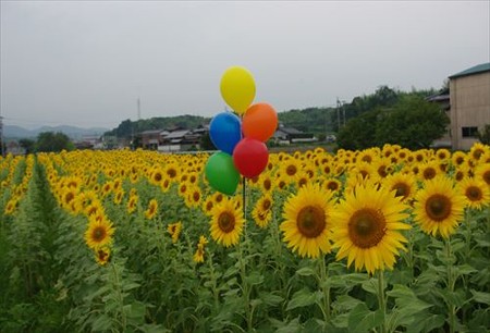 IMGP7388_0703