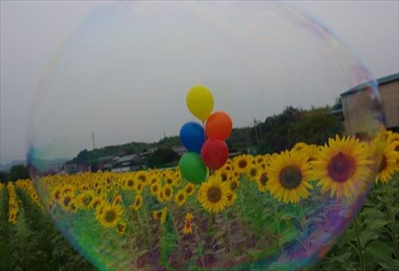 IMGP7394_0703