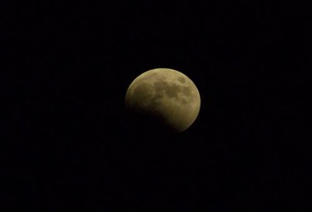 DSCF2973_1008