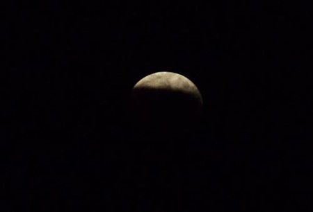 DSCF2989_1008