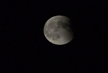 DSCF3071_1008