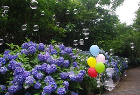 IMGP9423_0705
