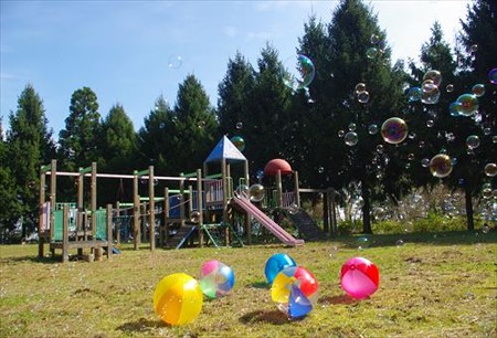 IMGP3376_1026