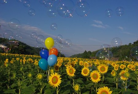 IMGP7717_0712