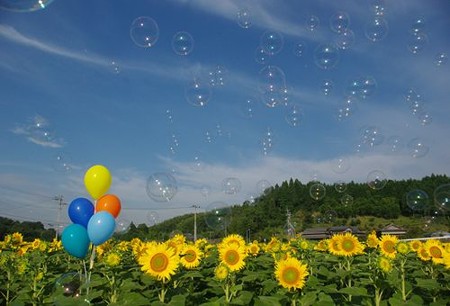 IMGP7821_0712