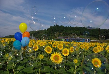 IMGP7882_0712