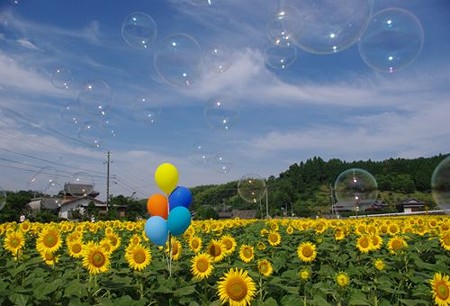 IMGP7989_0712