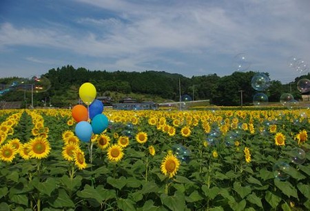 IMGP8001_0712