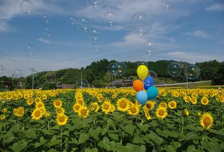 IMGP8029_0712