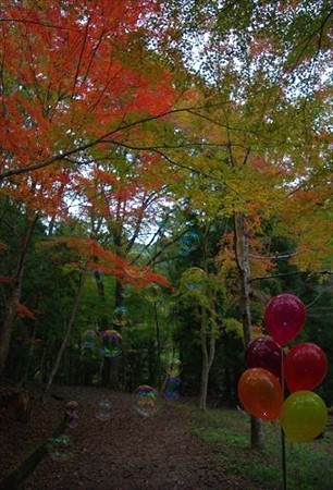 IMGP5142_1108