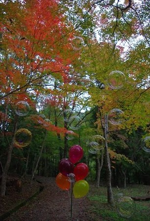 IMGP5200_1108