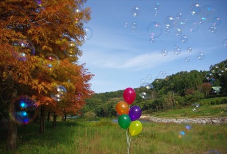 IMGP6038_1116