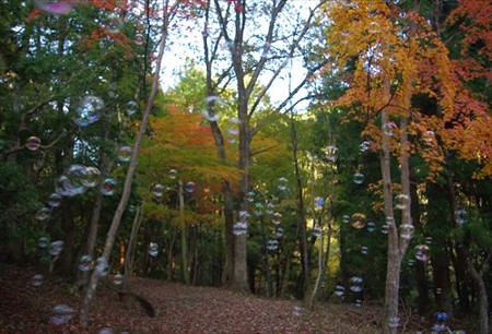 IMGP6240_1116