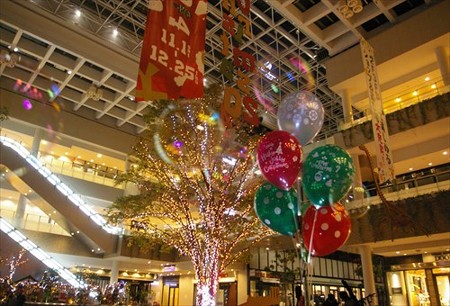 IMGP8493_1116