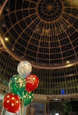 IMGP8514_1116