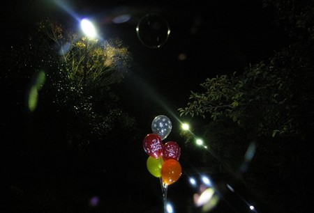 IMGP8681_1119