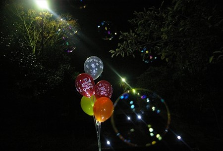 IMGP8703_1119