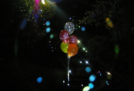 IMGP8705_1119