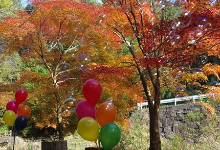IMGP6708_1122