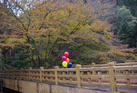 IMGP7023_1122
