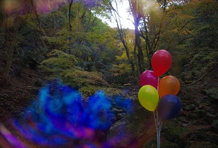 IMGP7069_1122
