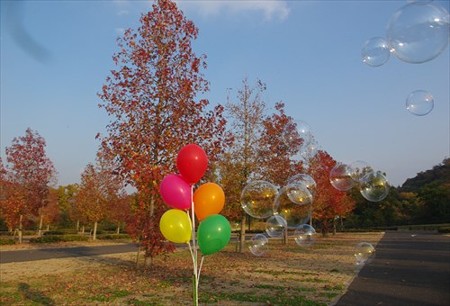 IMGP7323_1122