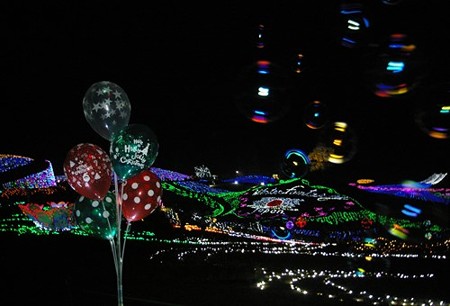 IMGP8779_1122