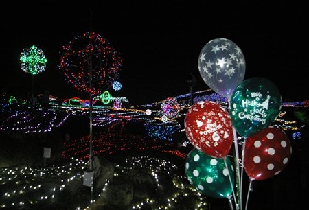 IMGP8784_1122