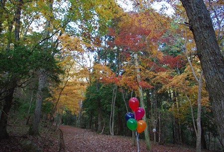 IMGP8316_1124