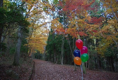 IMGP8329_1124