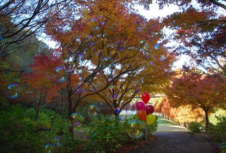 IMGP8828_1130