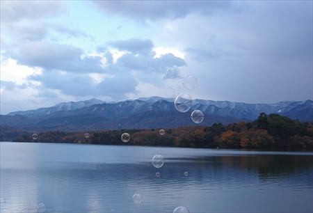 IMGP9436_1206