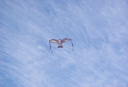 IMGP9836_1207