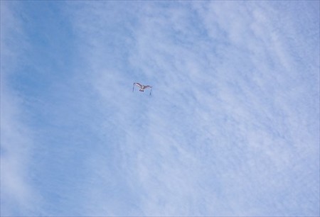 IMGP9846_1207