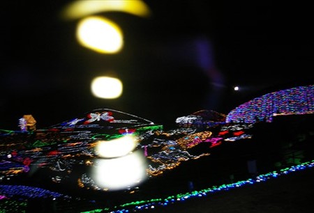 IMGP0030_1210