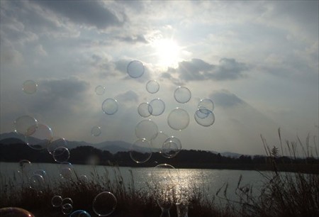 DSCF1015_1230